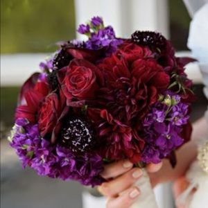 Meet your Posher, Colleen